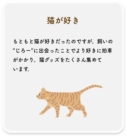 猫が好き